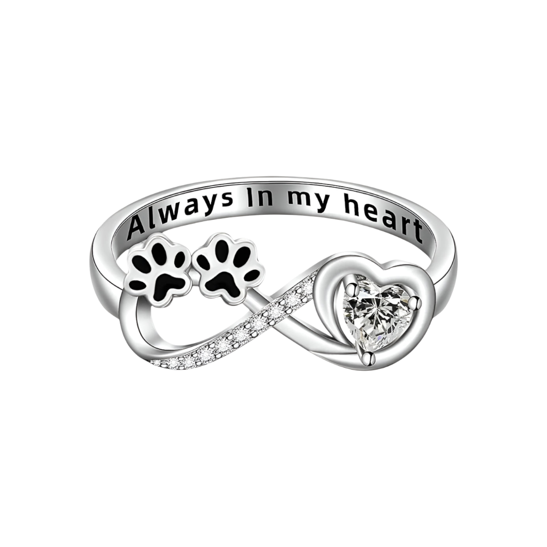 Pote-uendelighedsring